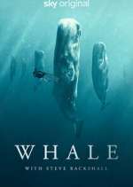 Watch Whale with Steve Backshall Zmovie