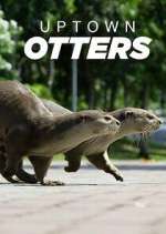 Watch Uptown Otters Zmovie