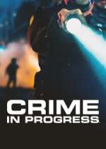 Crime in Progress zmovie