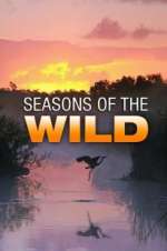 Watch Seasons of the Wild Zmovie