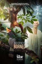 Watch Judi Dench\'s Wild Borneo Adventure Zmovie