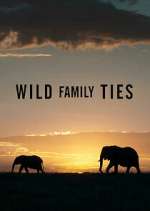 Watch Wild Family Ties Zmovie