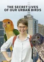 Watch The Secret Lives of Our Urban Birds Zmovie