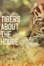 Watch Tigers About the House Zmovie