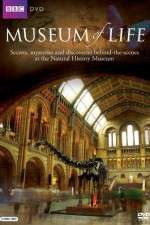 Watch BBC Museum of Life Zmovie