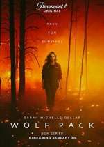 Watch Wolf Pack Zmovie