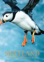 Watch Shetland: Scotland's Wondrous Isles Zmovie