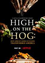 Watch High on the Hog: How African American Cuisine Transformed America Zmovie