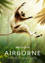 Watch Airborne Zmovie