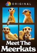 Watch Meet the Meerkats Zmovie