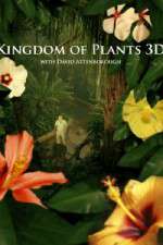 Watch Kingdom of Plants 3D Zmovie