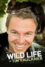 Watch The Wild Life of Tim Faulkner Zmovie