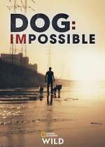 Watch Dog: Impossible Zmovie