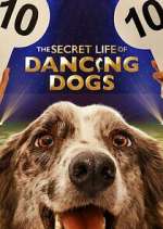 Watch The Secret Life of Dancing Dogs Zmovie