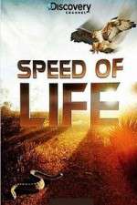 Watch Discovery Channel Speed Of Life Zmovie
