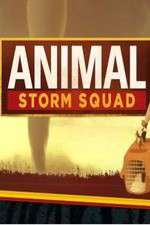 Watch Animal Storm Squad Zmovie