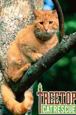 Watch Treetop Cat Rescue Zmovie