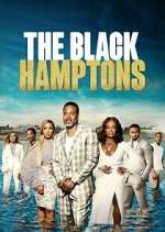 Watch Carl Weber's The Black Hamptons Zmovie