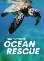 Watch Gold Coast Ocean Rescue Zmovie