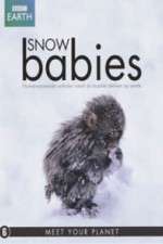 Watch Snow Babies Zmovie