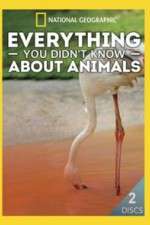 Watch Everything You Didnt Know About Animals Zmovie
