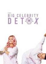 Watch The Big Celebrity Detox Zmovie