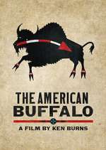 Watch The American Buffalo Zmovie