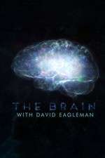 Watch The Brain with Dr David Eagleman Zmovie