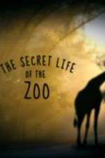Watch The Secret Life of the Zoo Zmovie