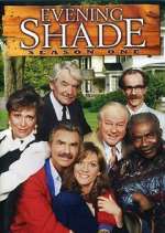 Watch Evening Shade Zmovie