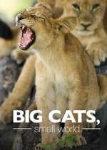 Watch Big Cats, Small World Zmovie