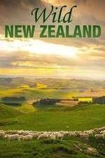 Watch Wild New Zealand Zmovie